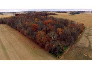 Property photo 2 - REAL ESTATE AUCTION - 336.6+/- ACRES OFFERED IN 10 TRACTS IN WHITLEY COUNTY, INDIANA